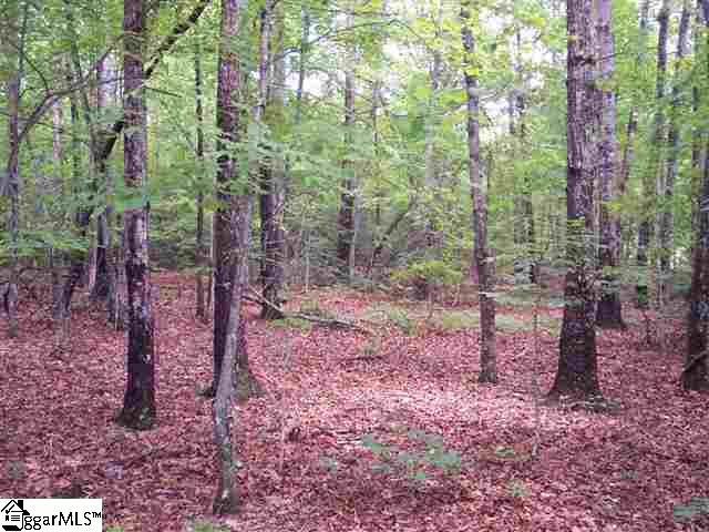 Curts Way, Unit TRACT 36 Cleveland, SC 29635 - Photo 3 of 11 Gallery Image 3