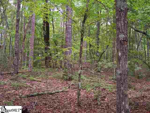 Curts Way, Unit TRACT 36 Cleveland, SC 29635 - Photo 8 of 11 Gallery Image 8