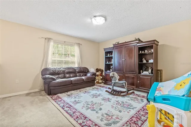 a living room with furniture and a rug
