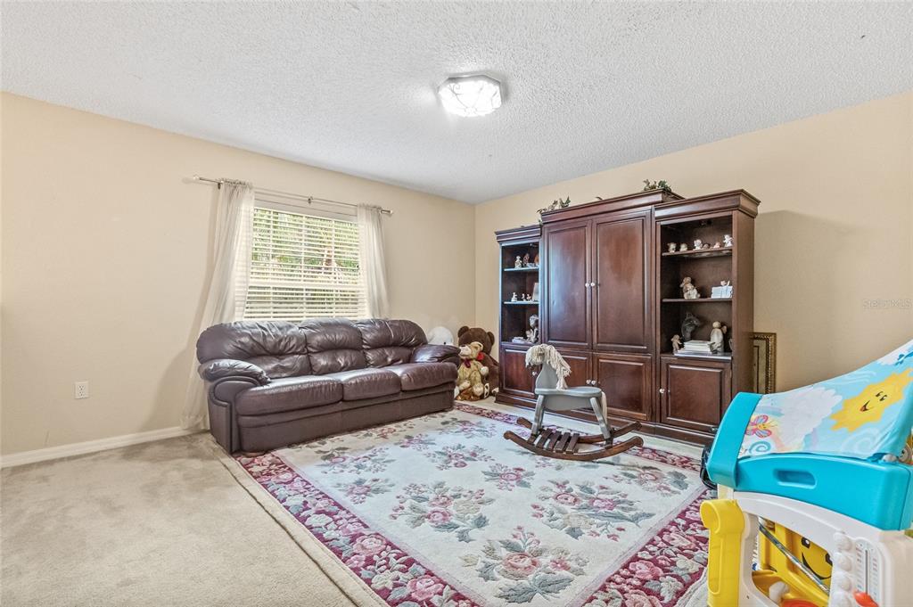 10311 Frog Pond Drive Riverview, FL 33569 - Photo 10 of 39 a living room with furniture and a rug