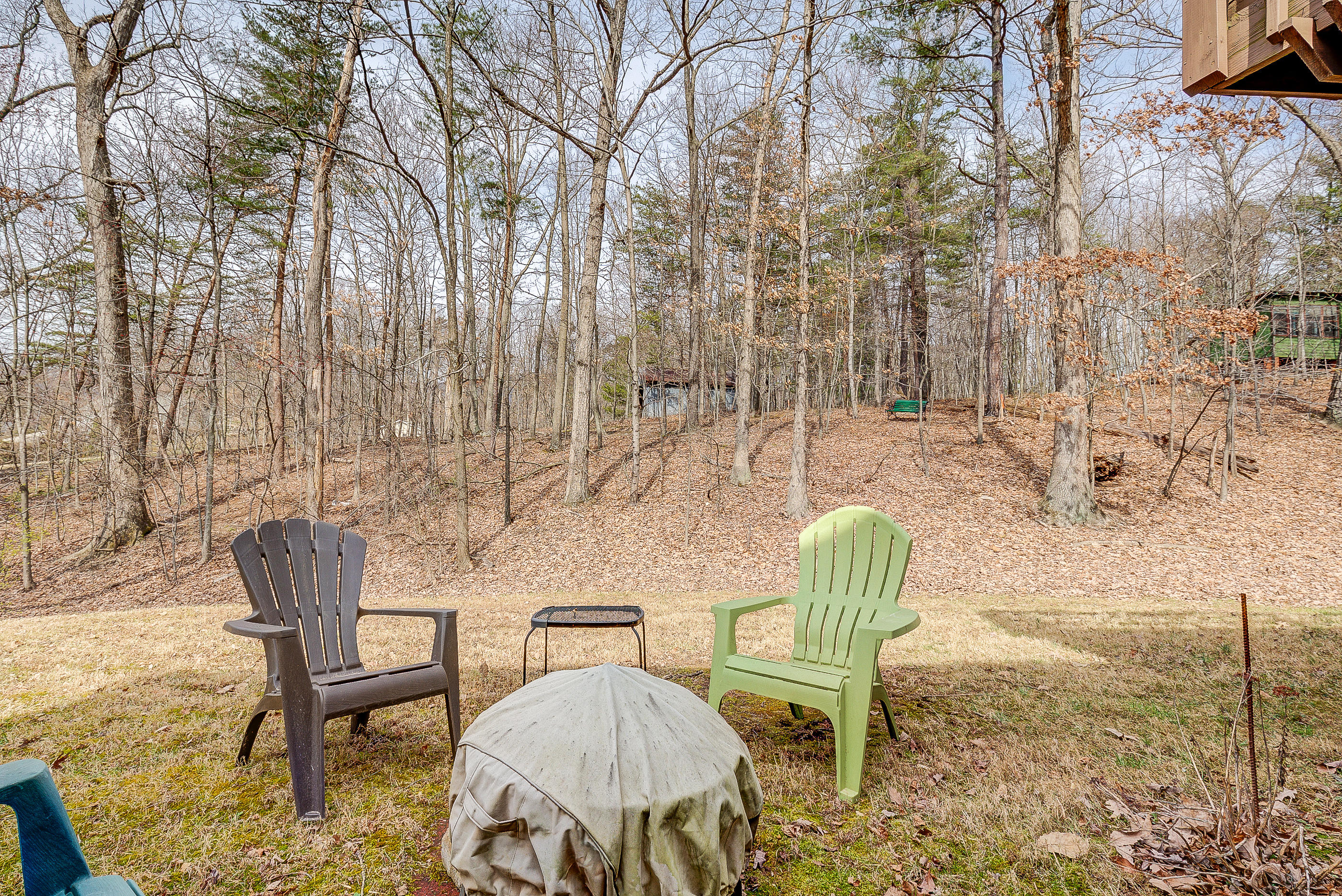 1725 Green Ridge Road Salem, VA 24153 - Photo 23 of 23 Backyard
