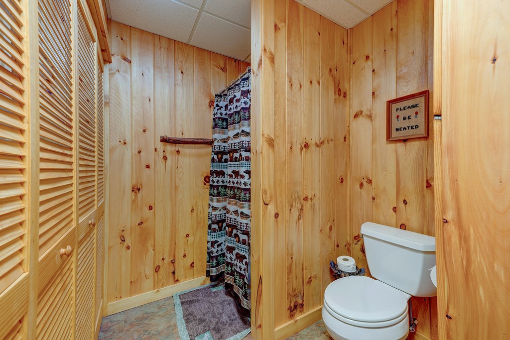 584 Laurel Ridge Drive Blue Ridge, GA 30513 - Photo 29 of 49 Gallery Image 29