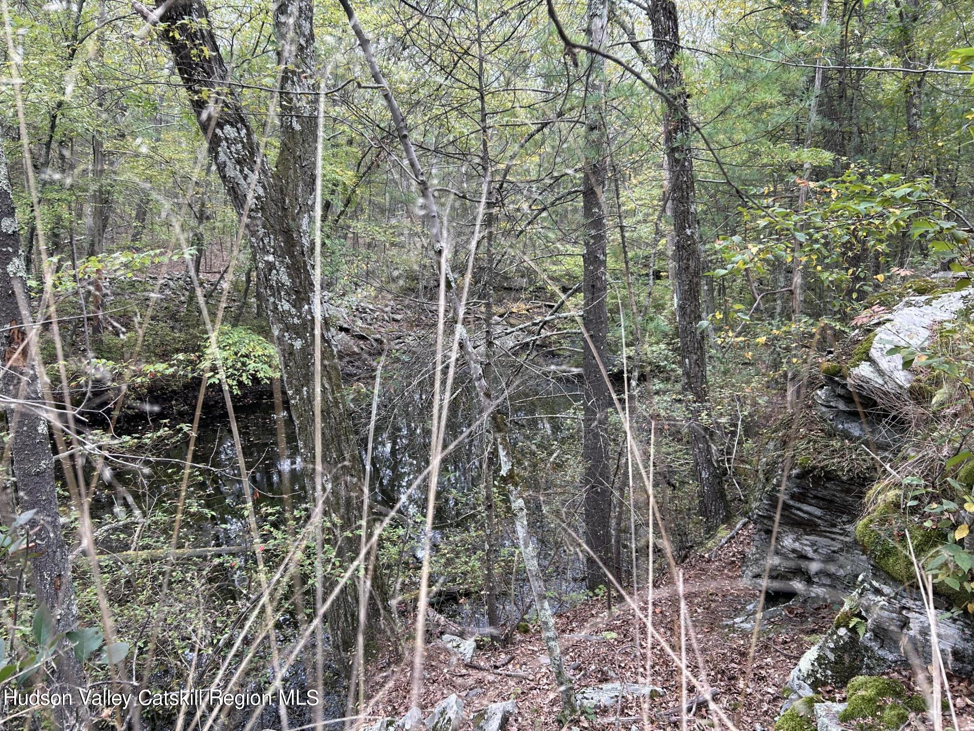 0 High Falls Road Saugerties, NY 12477 - Photo 31 of 50 IMG_5923