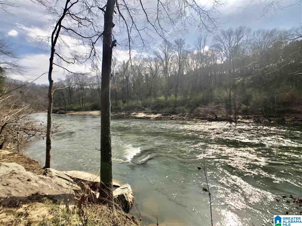230 Warrior Trail Hayden, AL 35079 - Photo 20 of 21
