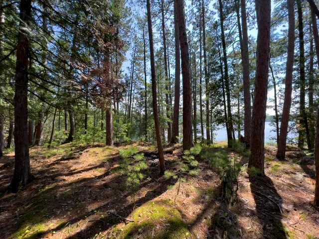 $1,585,000 | X X Waters Island, Ely, MN 55731