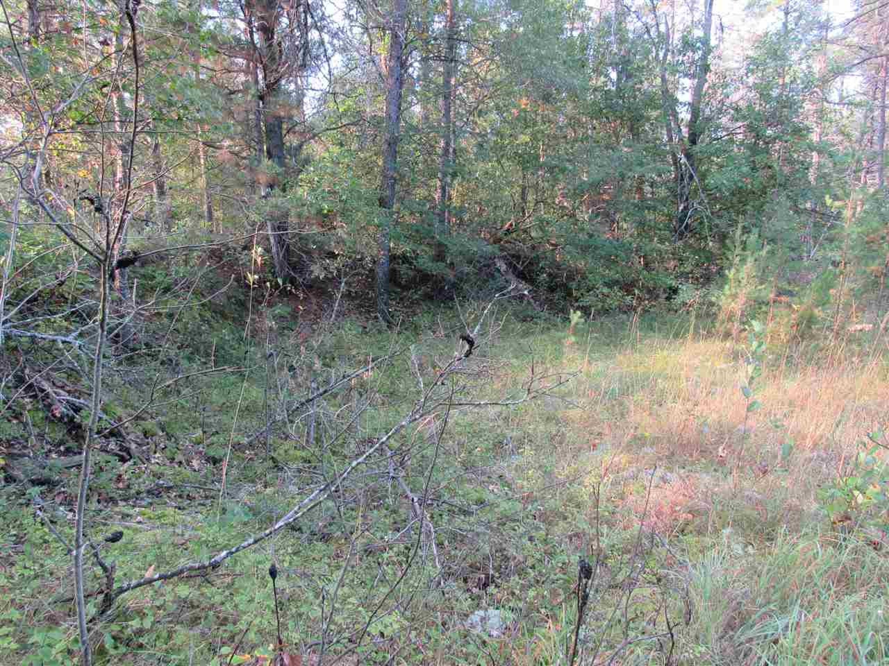 Xxx Leline Road Roscommon, MI 48653 - Photo 13 of 16 Gallery Image 13