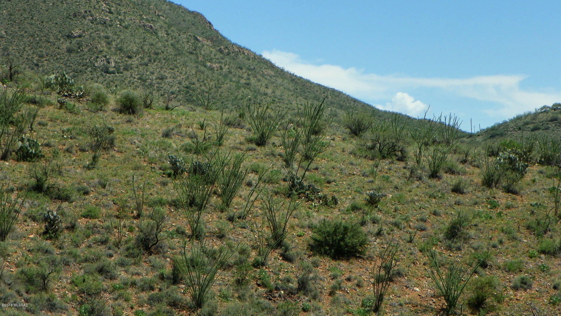 335 Circulo Chica, Unit 21 Rio Rico, AZ 85648 - Photo 10 of 10