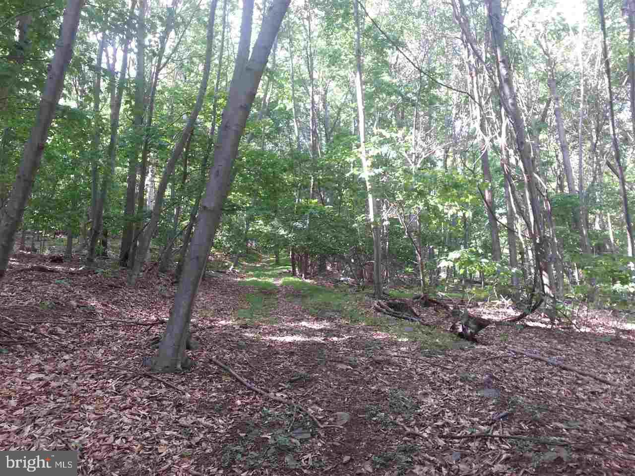 3023 L Laurel Run Road Landisburg, PA 17040 - Photo 1 of 1
