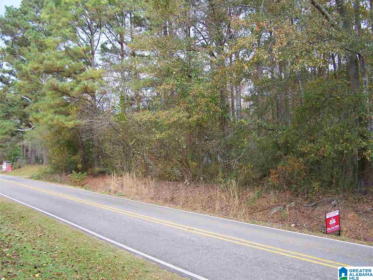 1 Cottaquilla Road Jacksonville, AL 36265 - Photo 1 of 8