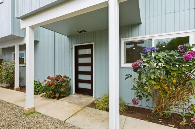 a potted plant sitting in front of a house
