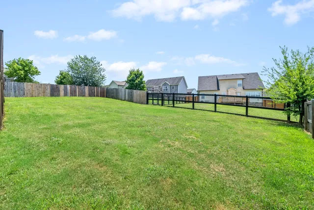a view of a backyard with plants and large trees