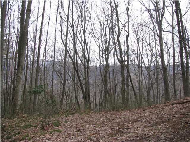1 Millsaps Coal Road Soddy Daisy, TN 37379 - Photo 3 of 3 Additional Photo