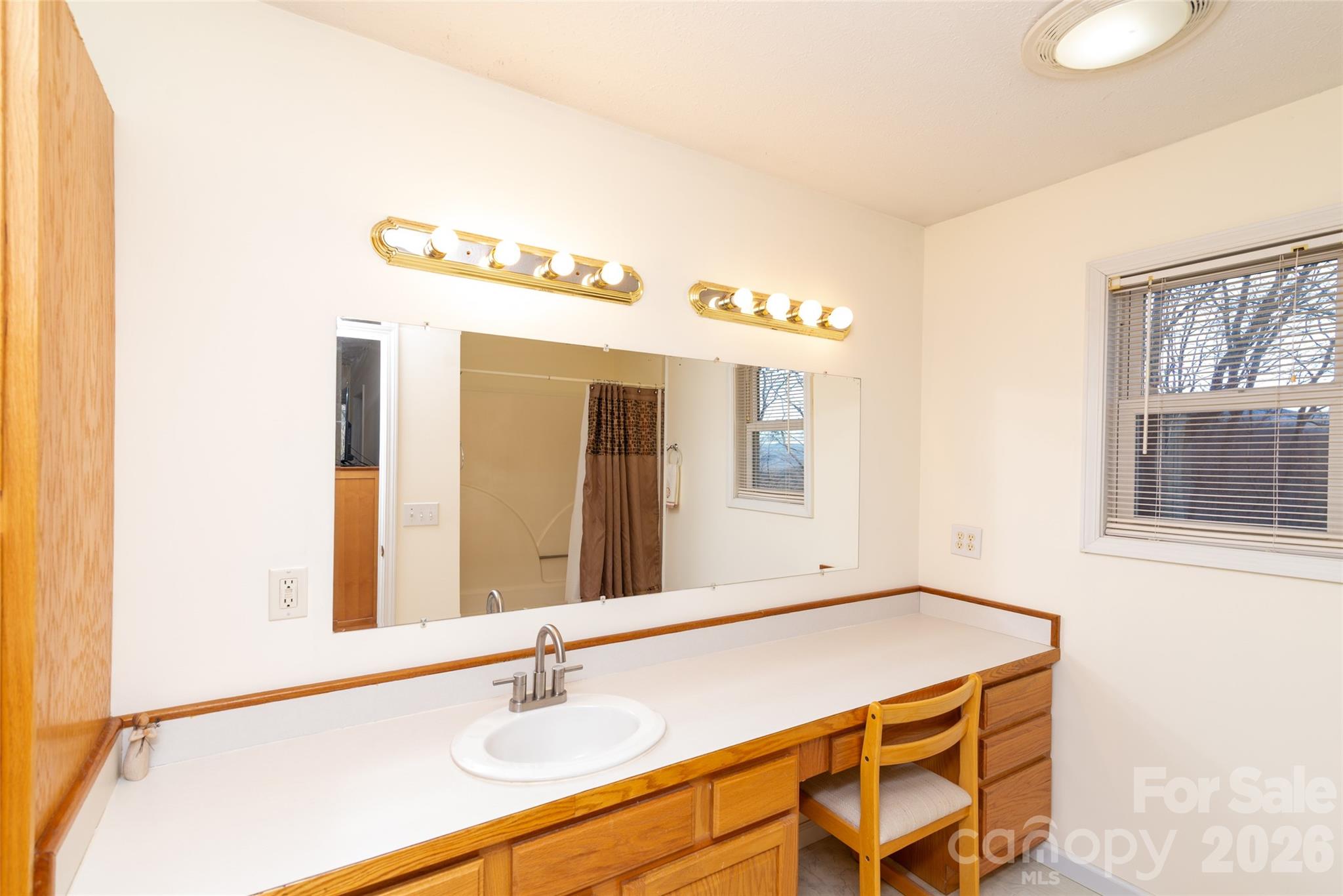 194 Ridgeview Drive Whittier, NC 28789 - Photo 24 of 43 a bathroom with a sink and a mirror