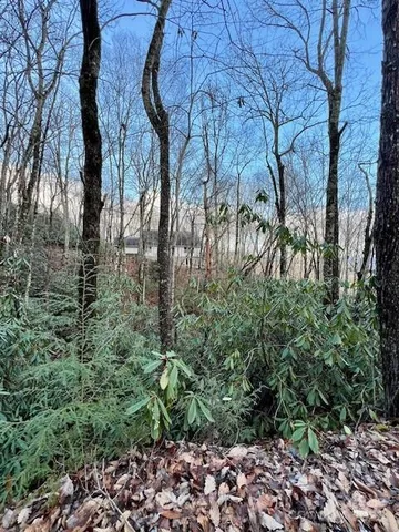 a backyard of a house with lots of plants and trees
