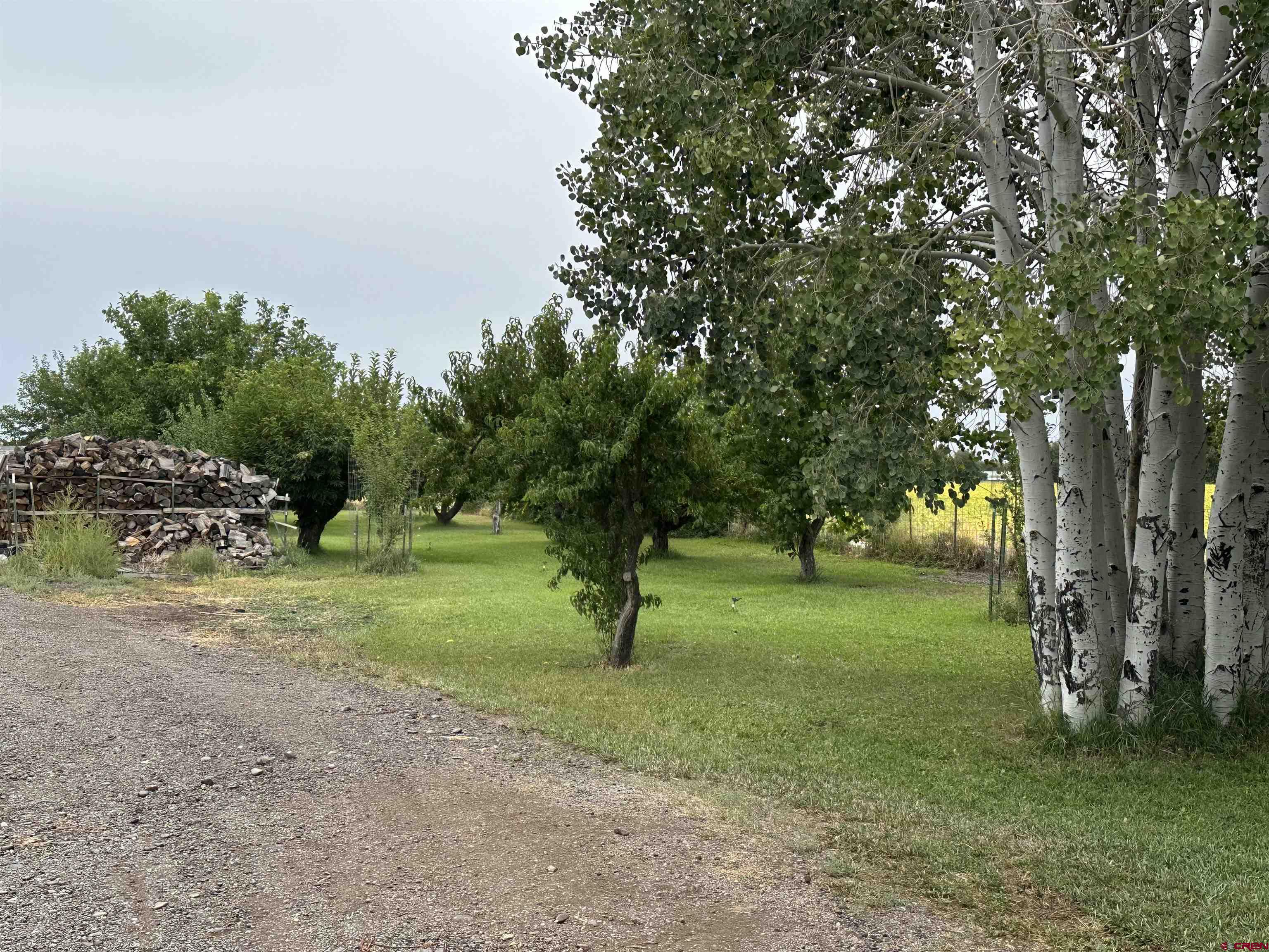 10760 5880th Road Montrose, CO 81403 - Photo 26 of 27 Gallery Image 26