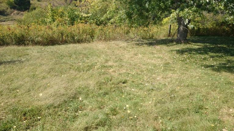 115 Poplar Thicket Road Alexandria, KY 41001 - Photo 13 of 17 Gallery Image 13