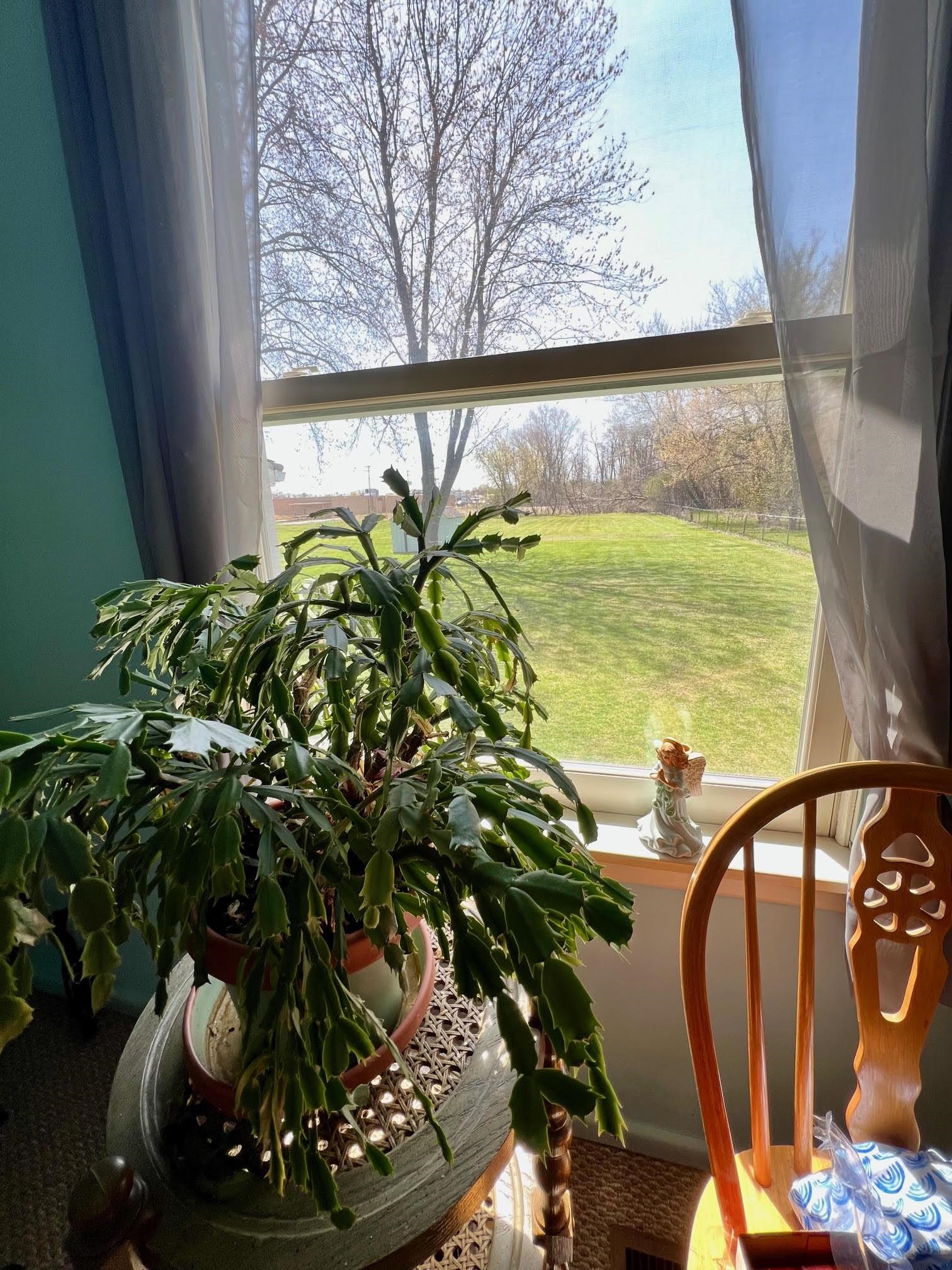 3408 Kiesel Road Bay City, MI 48706 - Photo 13 of 22 Gallery Image 13