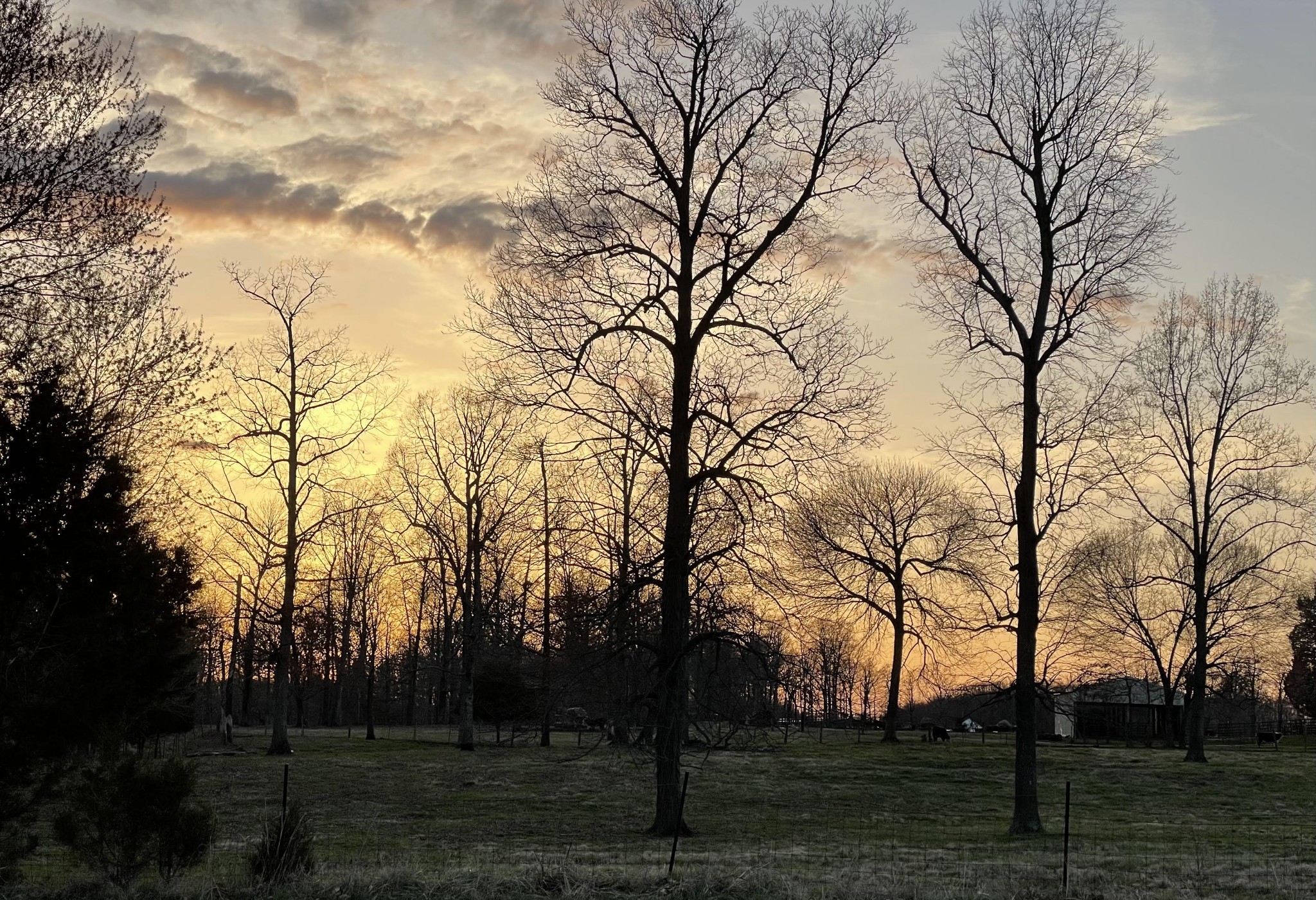 372 Freeland Road Portland, TN 37148 - Photo 41 of 41 a view of outdoor space with trees