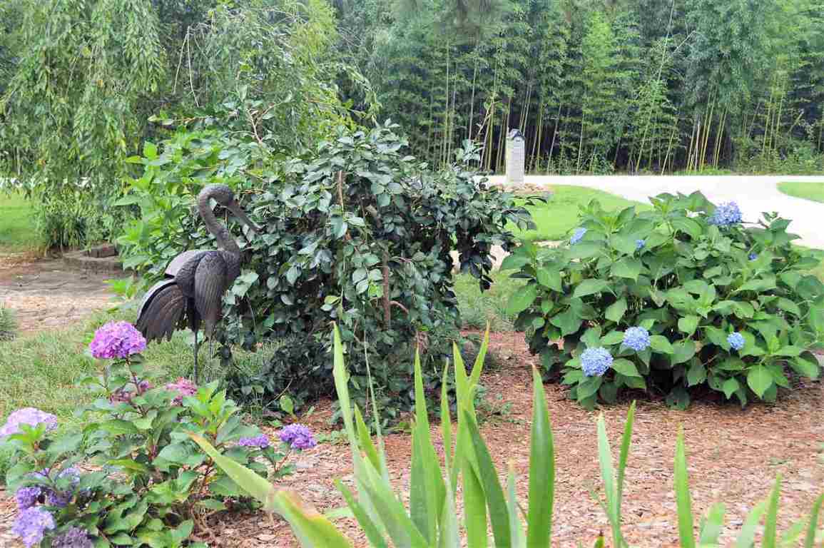 404 Chetola Road, Unit TERRACE MEADOWS Seneca, SC 29672 - Photo 34 of 36