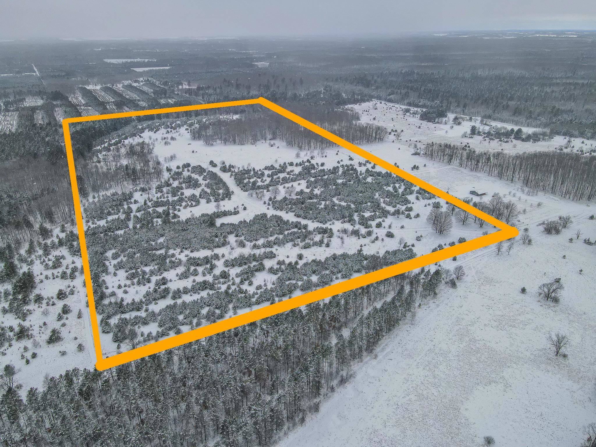 81-acres North 25 Road Buckley, MI 49620 - Photo 17 of 36