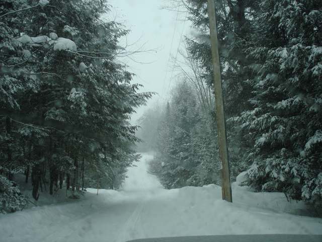 W4374 Tribute Road Tomahawk, WI 54487 - Photo 19 of 20 Gallery Image 19
