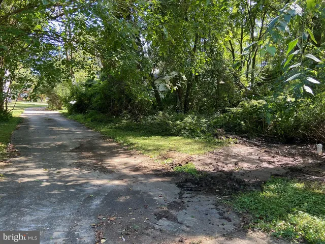 a view of backyard with green space