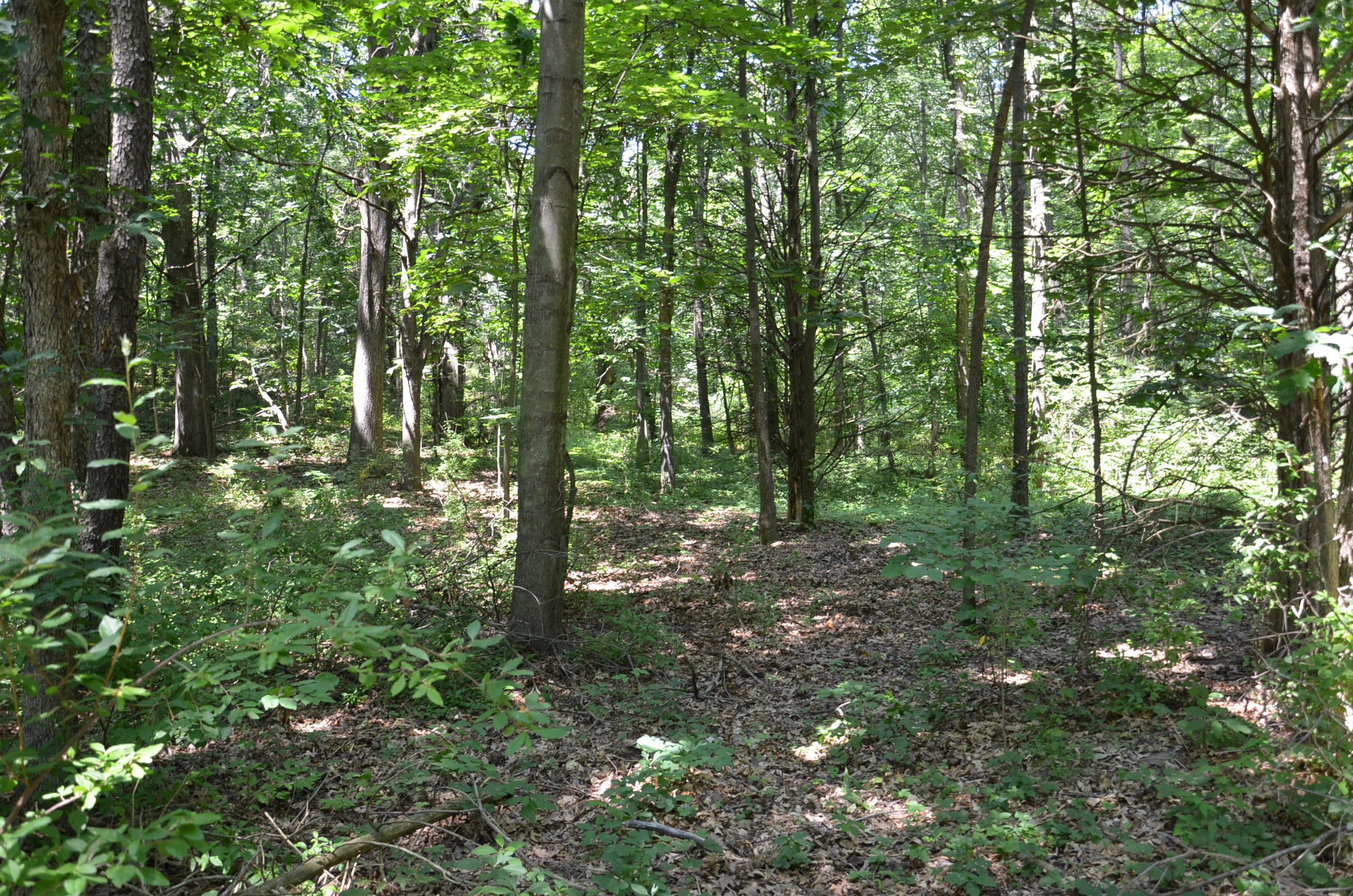 North Payne Lake Road Middleville, MI 49333 - Photo 27 of 42 DSC_6204