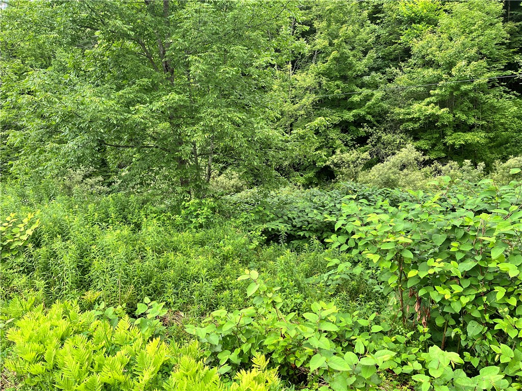 0 Marvin Hollow Road Walton, NY 13856 - Photo 16 of 22