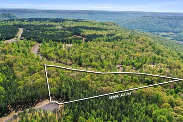 a view of a forest from a balcony