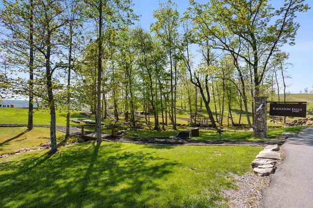 a view of a park with large trees