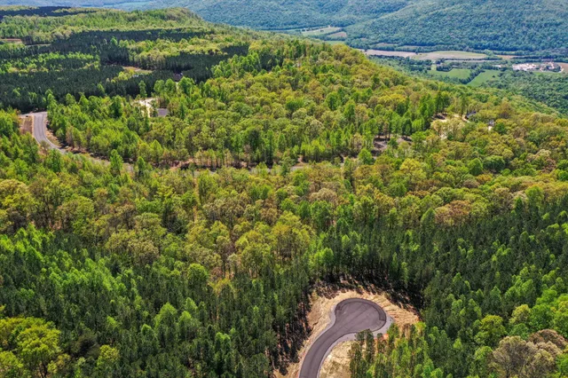 a view of a backyard of the house