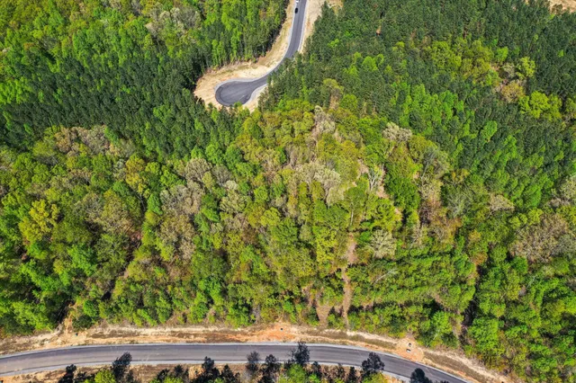 a view of a yard with wooden fence