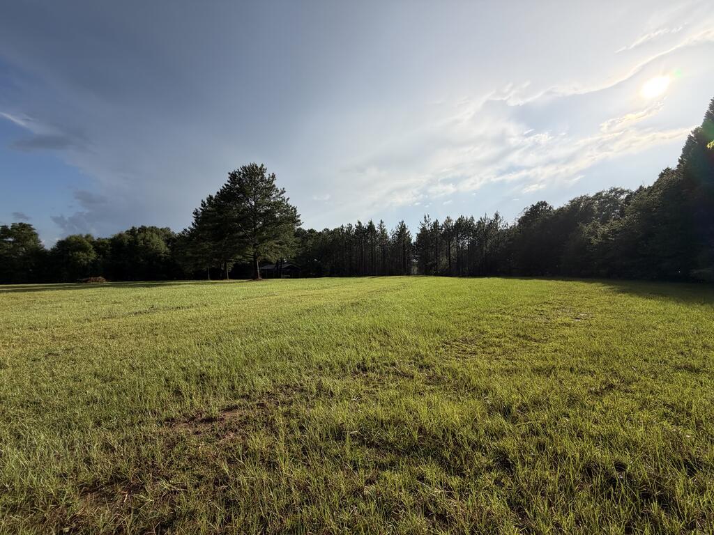 0 Cottonhill Road Eufaula, AL 36027 - Photo 33 of 33 Gallery Image 33