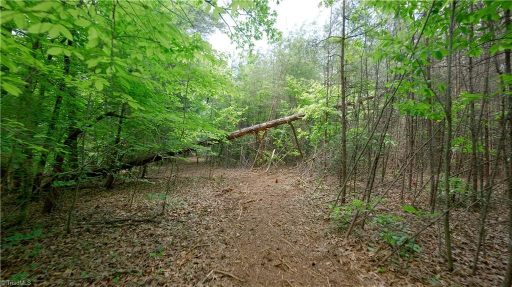 1740 Shiloh Church Road Winston-Salem, NC 27105 - Photo 11 of 33