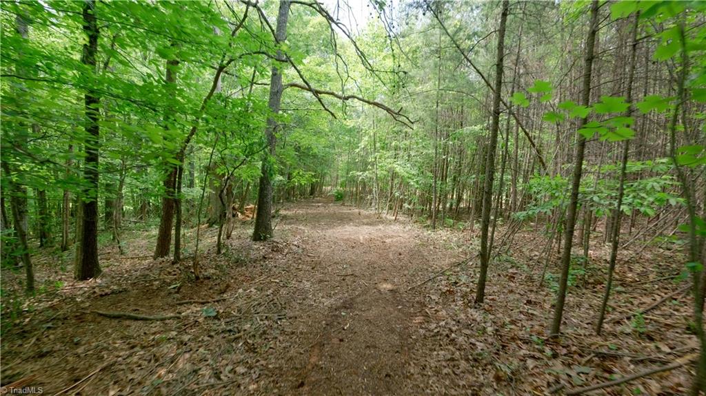 1740 Shiloh Church Road Winston-Salem, NC 27105 - Photo 12 of 33