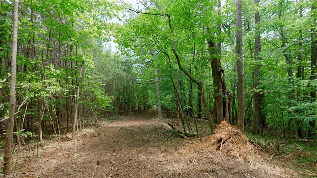 1740 Shiloh Church Road Winston-Salem, NC 27105 - Photo 13 of 33