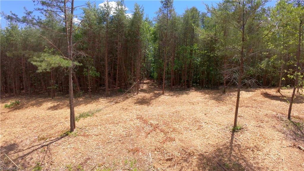 1740 Shiloh Church Road Winston-Salem, NC 27105 - Photo 2 of 33