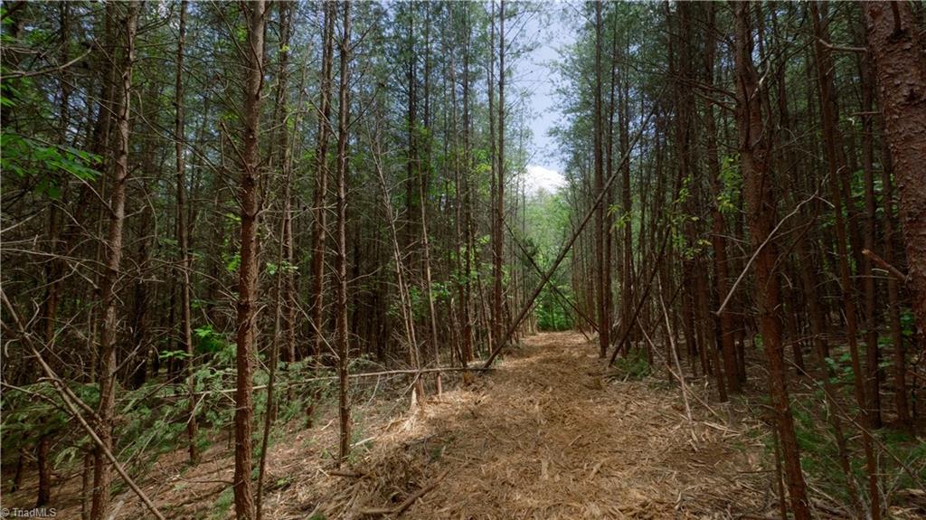 1740 Shiloh Church Road Winston-Salem, NC 27105 - Photo 6 of 33