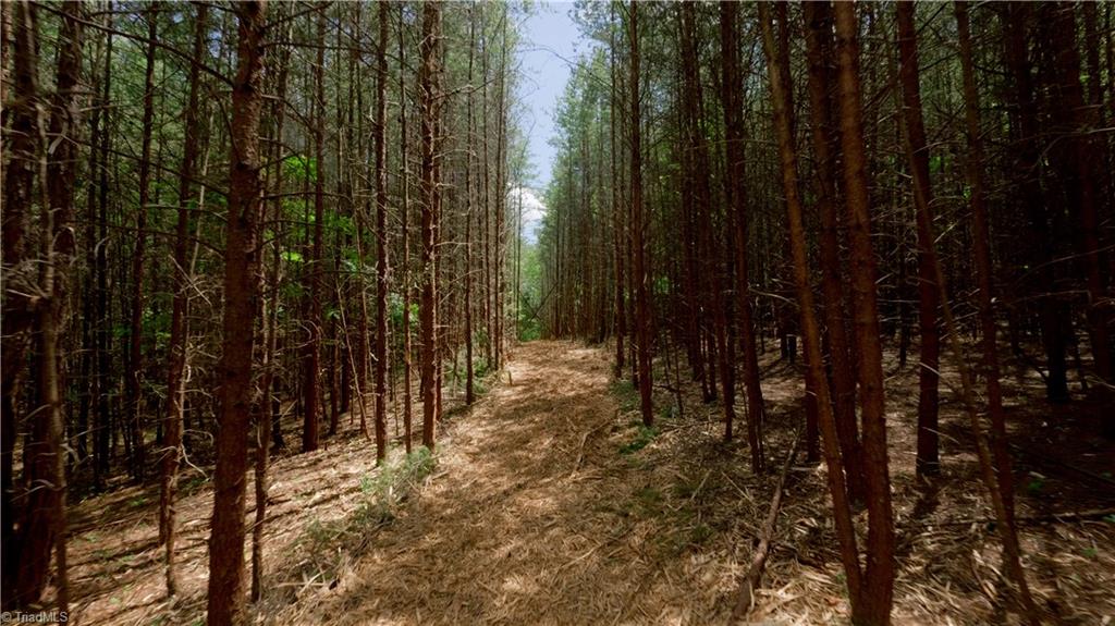 1740 Shiloh Church Road Winston-Salem, NC 27105 - Photo 7 of 33