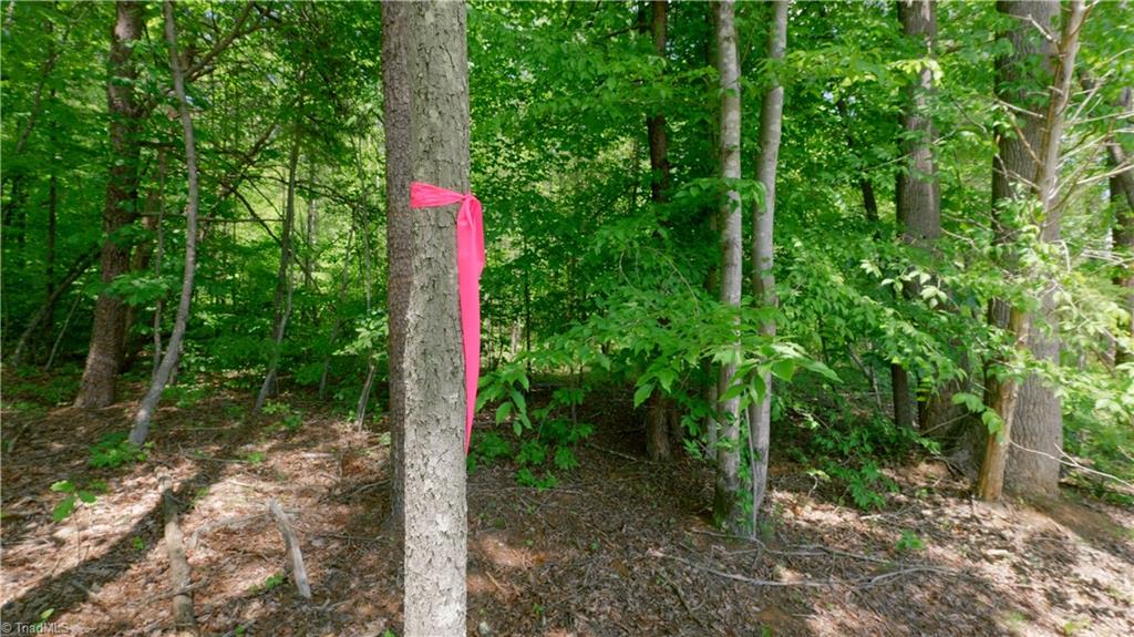 1740 Shiloh Church Road Winston-Salem, NC 27105 - Photo 8 of 33