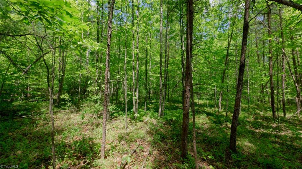 1740 Shiloh Church Road Winston-Salem, NC 27105 - Photo 9 of 33