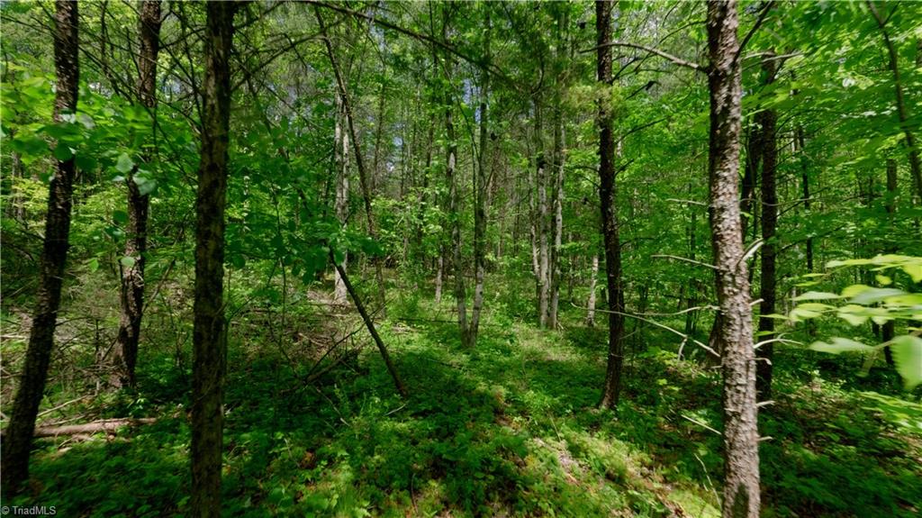 1740 Shiloh Church Road Winston-Salem, NC 27105 - Photo 10 of 33