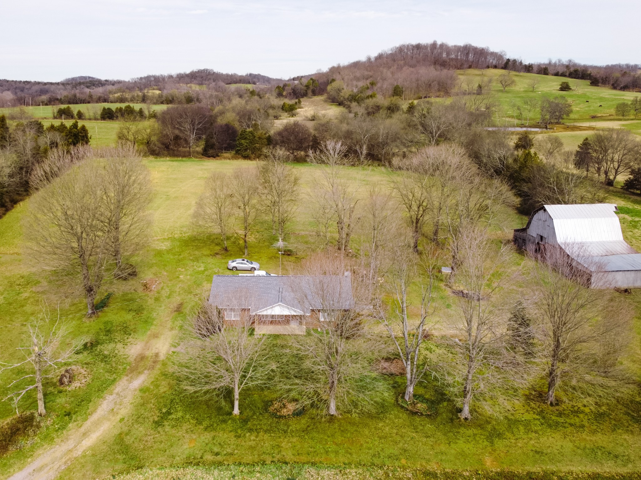 1790 Coosie Branch Rd  