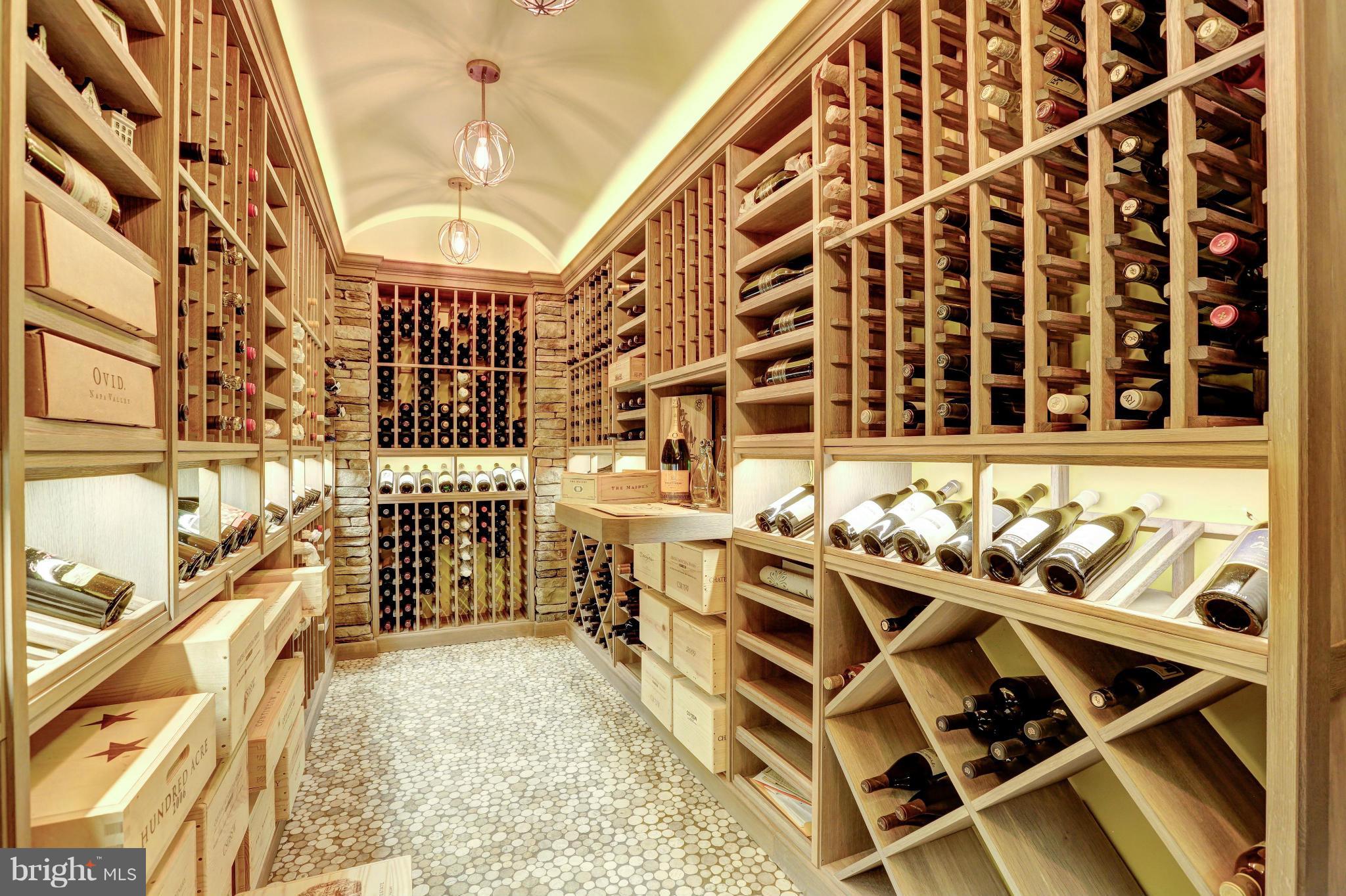 9121 Burdette Road Bethesda, MD 20817 - Photo 25 of 30 Wine Cellar