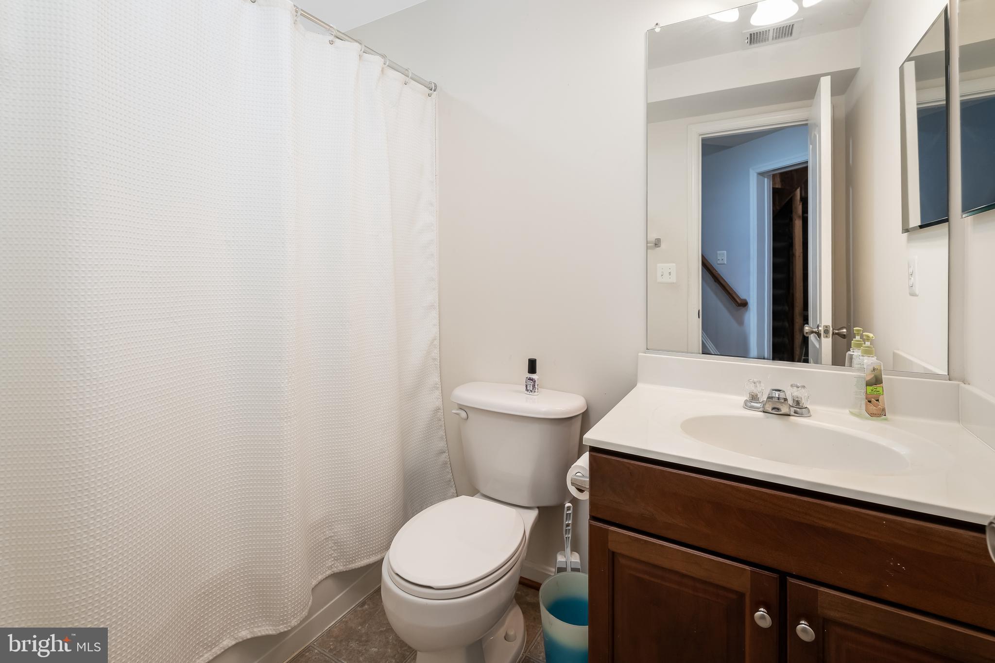 2047 Chesterfield Road Locust Grove, VA 22508 - Photo 22 of 30 Full Bath On the Lower Level