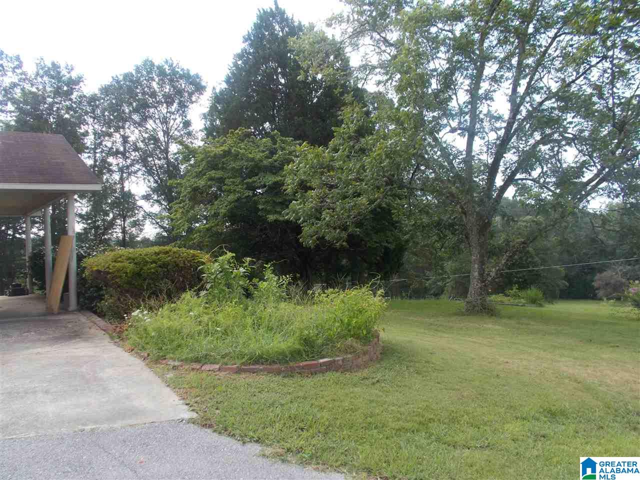 849 Fish Hatchery Road Eastaboga, AL 36260 - Photo 39 of 45