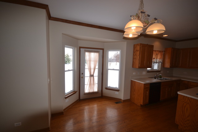 424 Blue Ridge Drive Oswego, IL 60543 - Photo 11 of 25