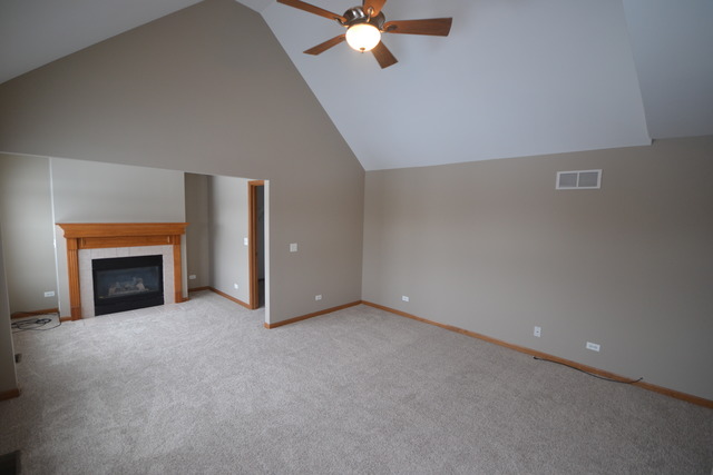 424 Blue Ridge Drive Oswego, IL 60543 - Photo 12 of 25
