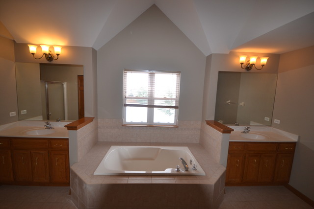 424 Blue Ridge Drive Oswego, IL 60543 - Photo 16 of 25