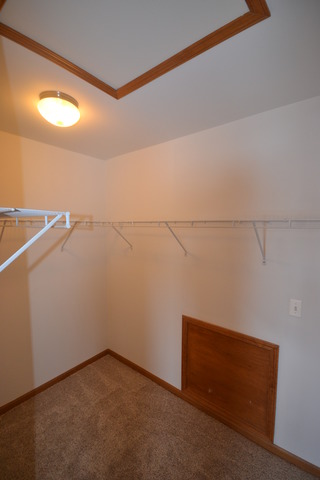 424 Blue Ridge Drive Oswego, IL 60543 - Photo 17 of 25
